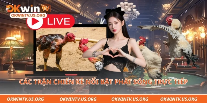 Các trận chiến kê nổi bật phát sóng trực tiếp