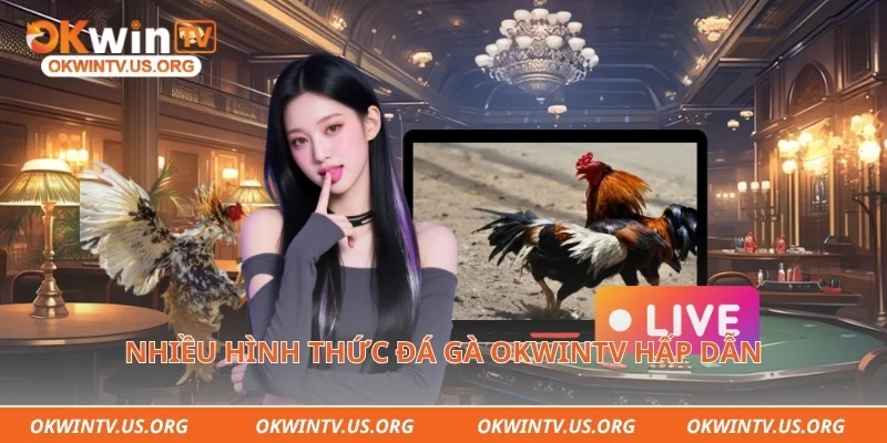 Nhiều hình thức đá gà Okwintv hấp dẫn